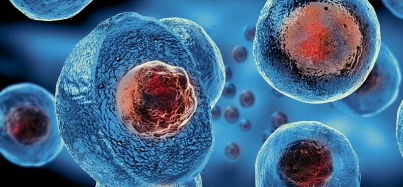 cell