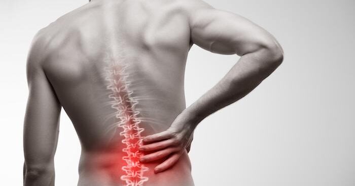 spinal
